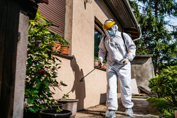 Best Affordable Pest Control Services  in Southern View, IL