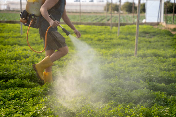 Best Commercial Pest Control Services  in Southern View, IL