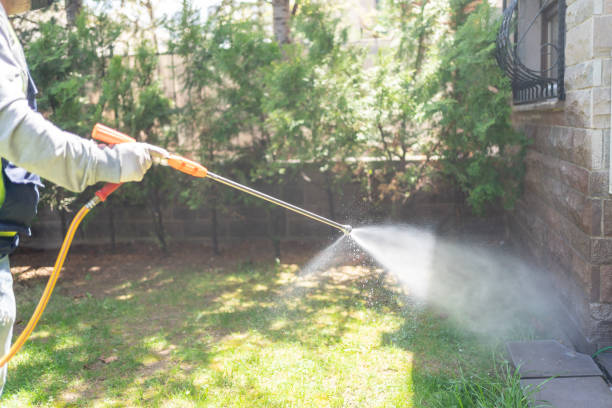 Best Wasp Removal Services  in Southern View, IL