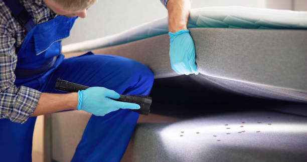 Best Pest Inspection Near Me  in Southern View, IL