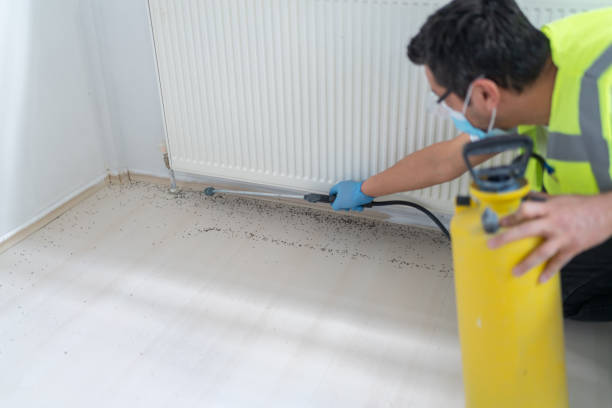 Best Rat Extermination Near Me  in Southern View, IL